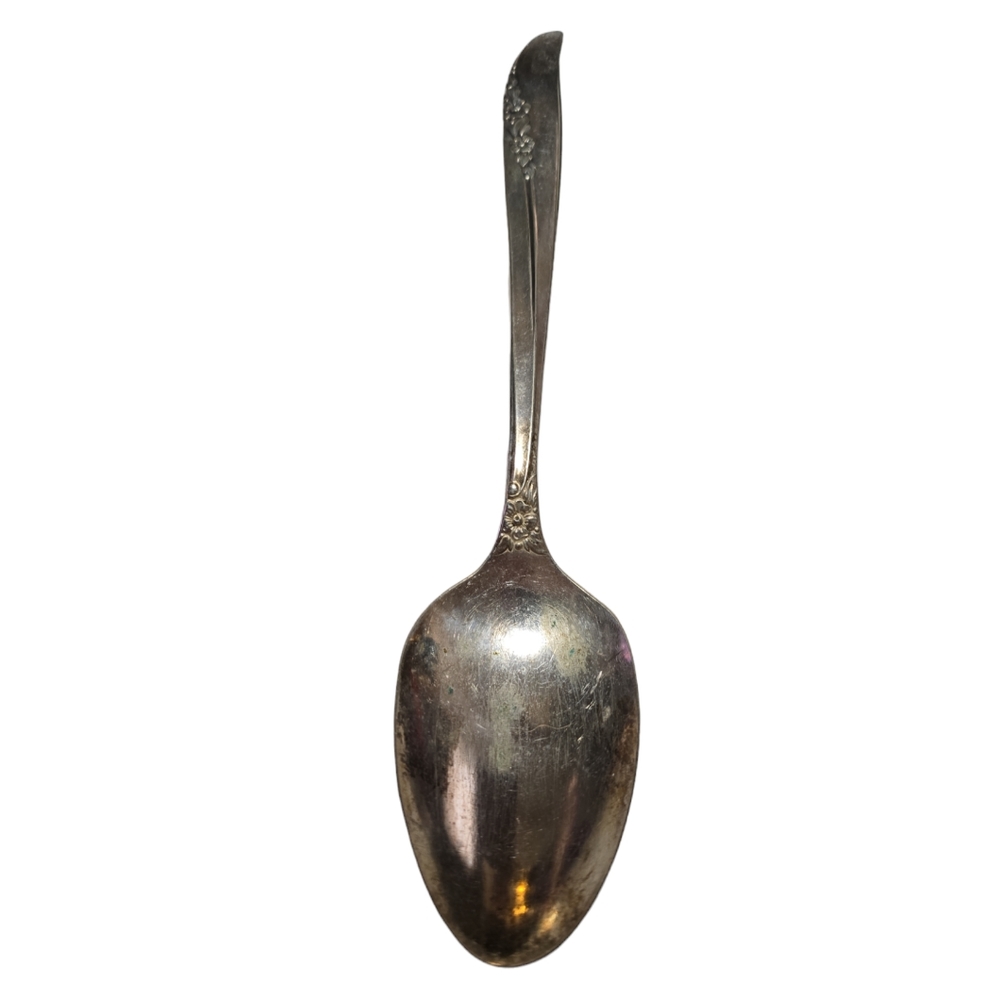 Oneida Lilac Time Silverplated Service Spoon